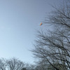 hooked kite