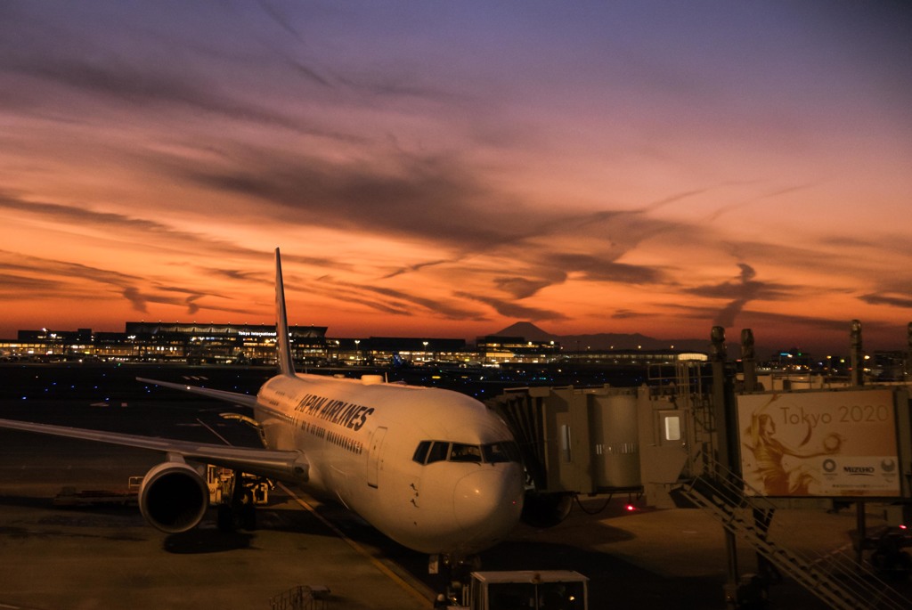 Haneda Twilight