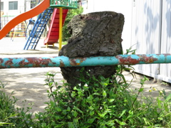 がぶ