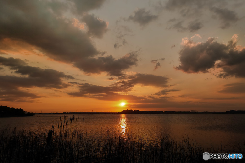 写真の日・牛久沼夕景