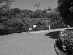 城内