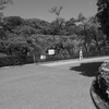 城内