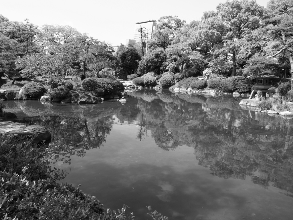 お池