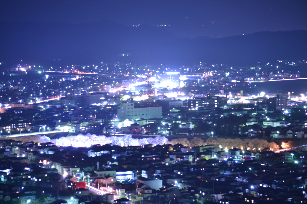 船岡城址公園からの一望