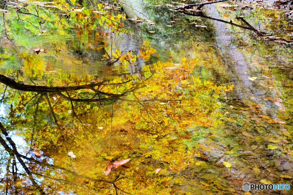 水鏡の秋