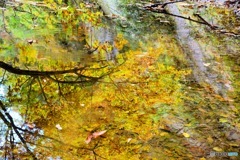 水鏡の秋