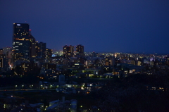 夜景　青葉城から仙台の街並み