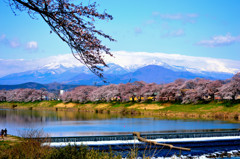 一目千本桜　蔵王連峰2