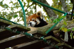 旭山動物園　　05