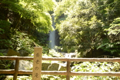 養老の滝