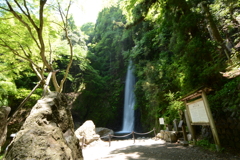 養老の滝