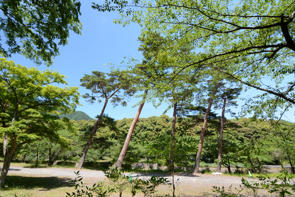 養老公園