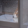 誰か居るー?