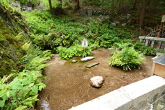 菊水霊泉