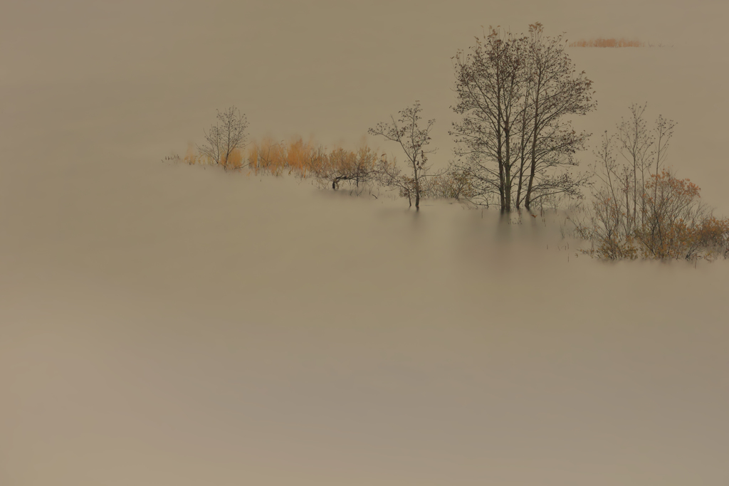 霧に浮かぶ晩秋-003