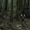 熊野古道散策