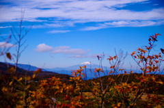 鳥海山