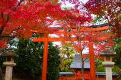 天龍寺