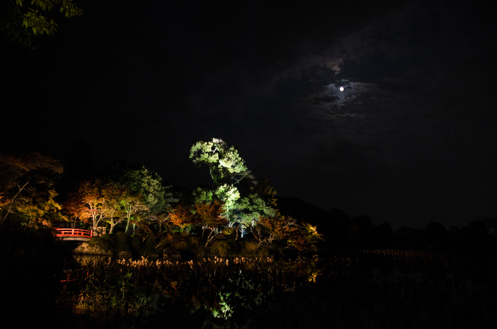 大覚寺の月夜