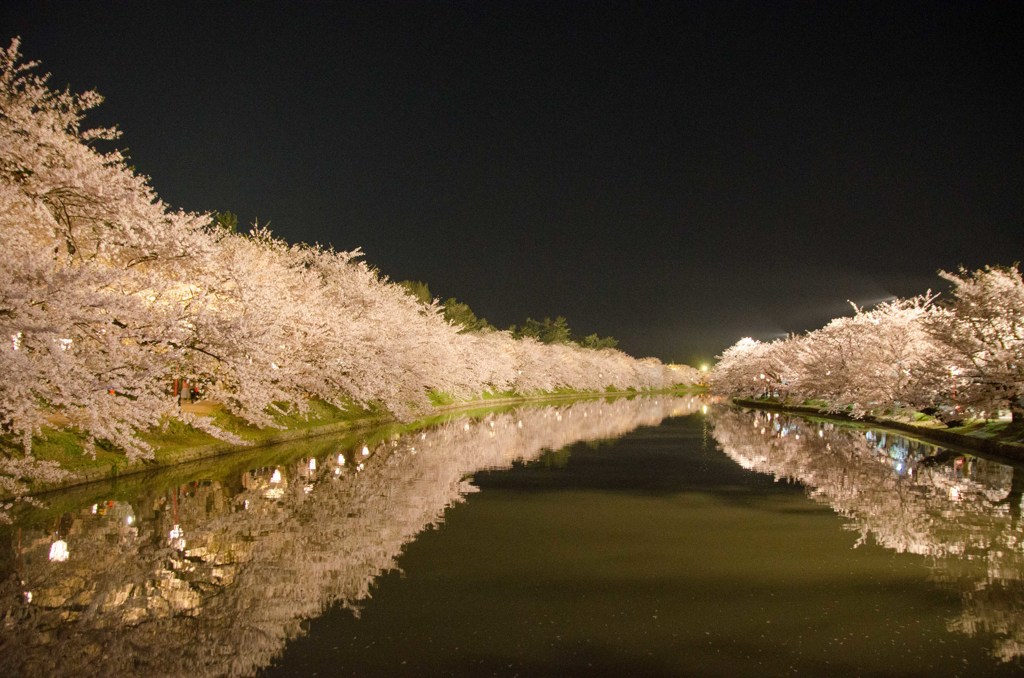 弘前城の桜