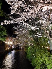 祇園白川