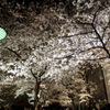 祇園白川