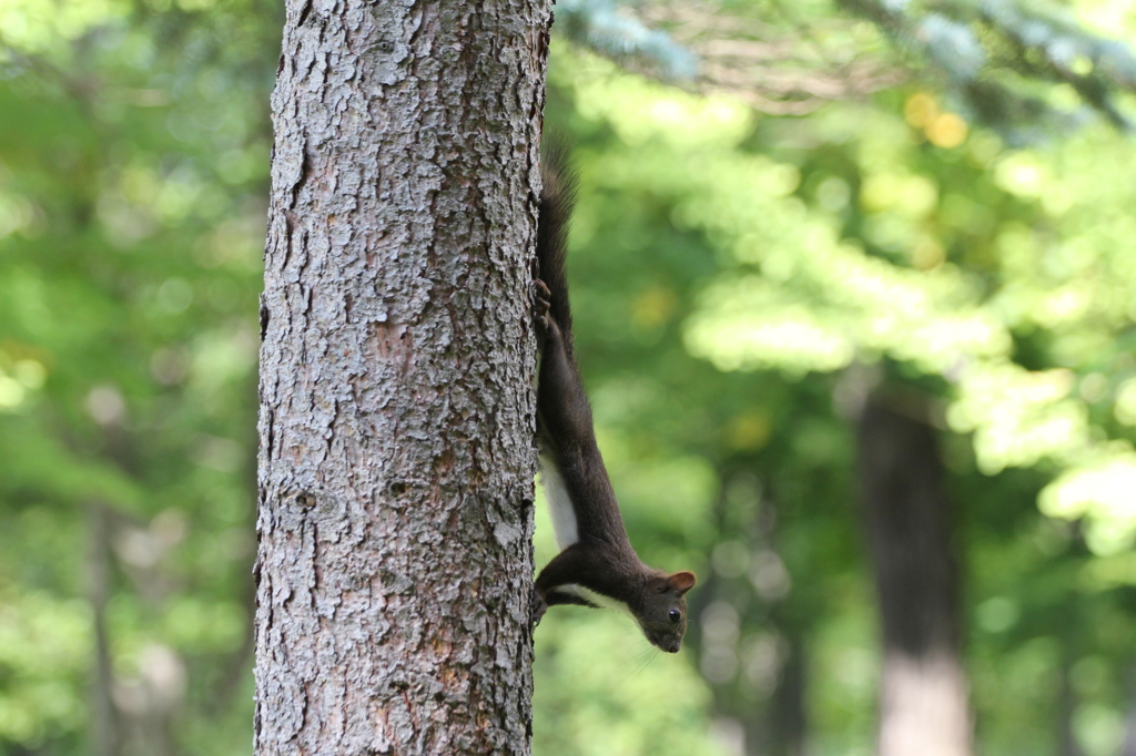 ストレッチ中(^O^)