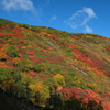 今年もここから紅葉スタート！