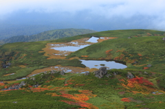 沼の平