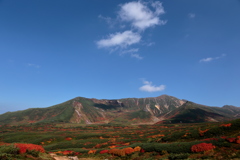 裾合平の紅葉