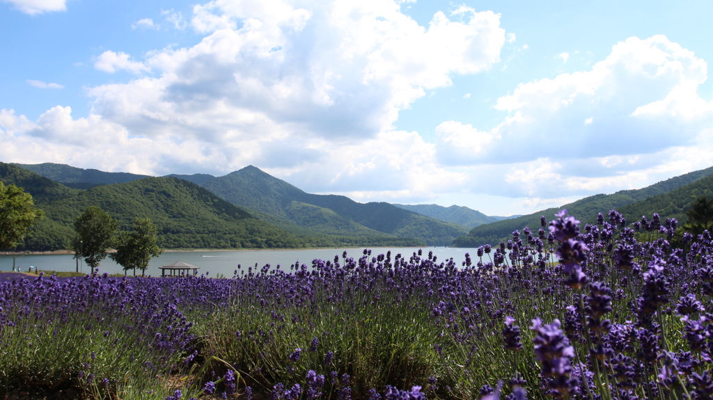 南富良野　かなやま湖