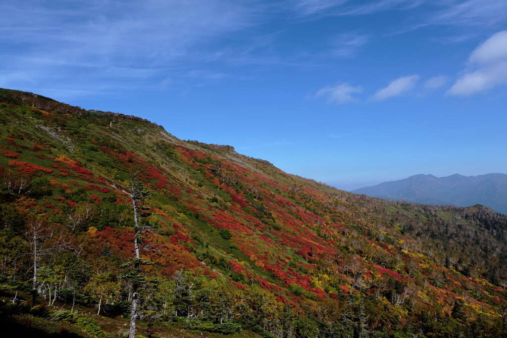 銀泉台の紅葉