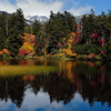 緑の沼紅葉