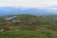 沼の平