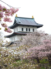 城と桜