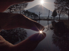 ダイヤモンド捕まえた