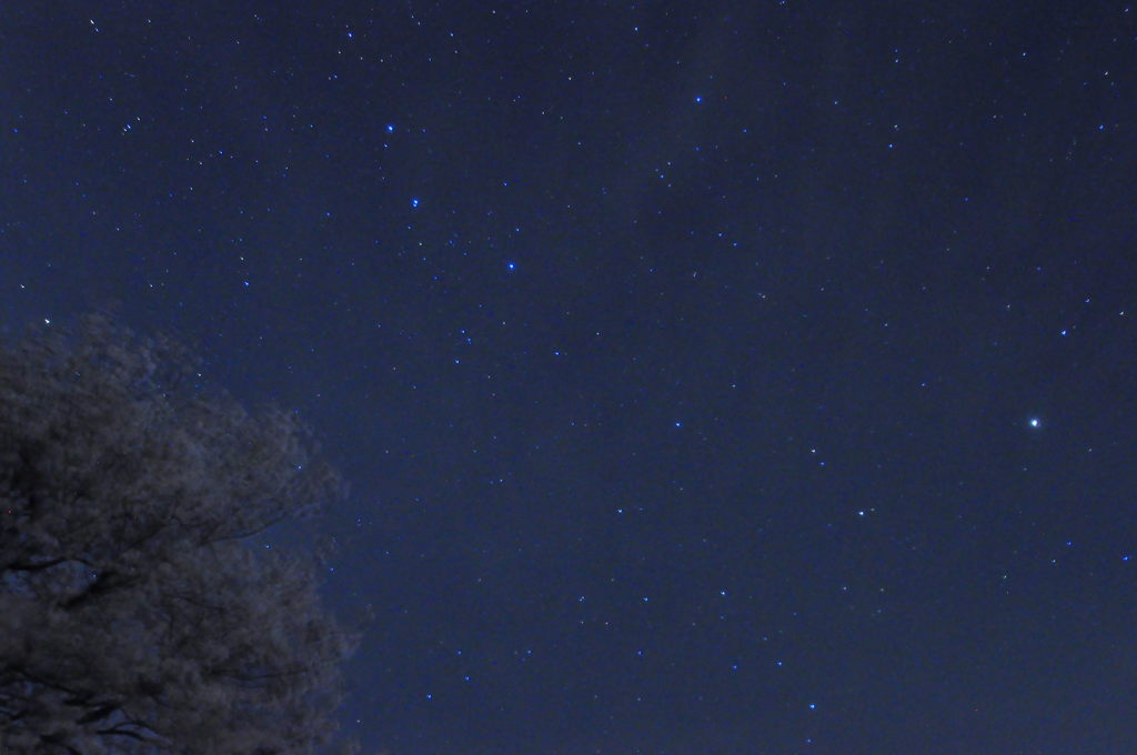 初めての星空☆