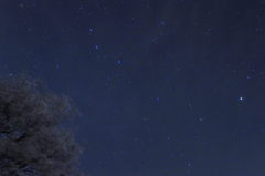 初めての星空☆