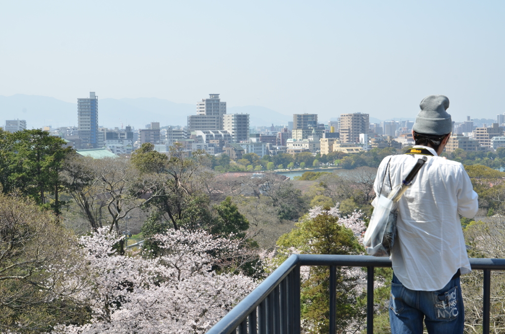 sakuraカメラマン　＃２