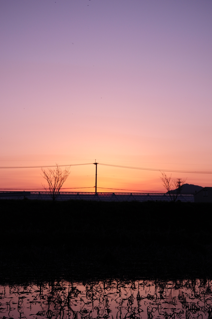 DSC_4718