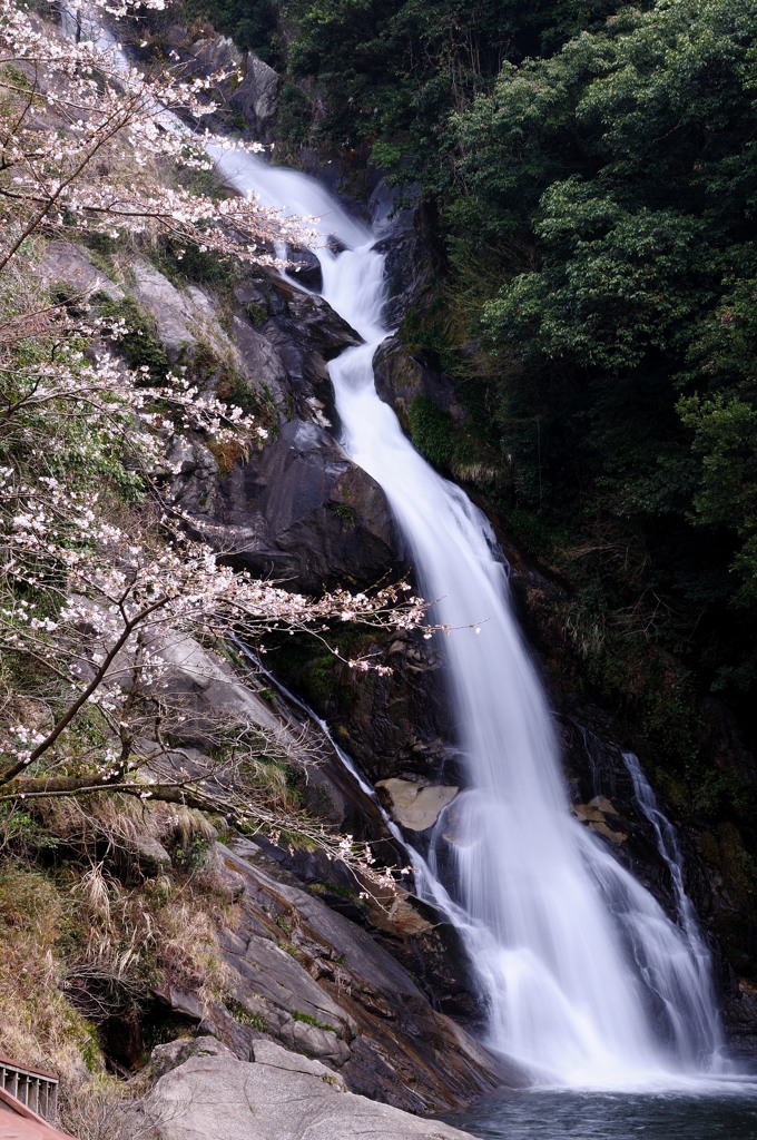 DSC_4771