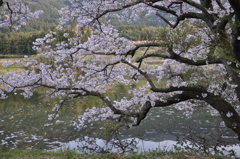 なかぞのため池