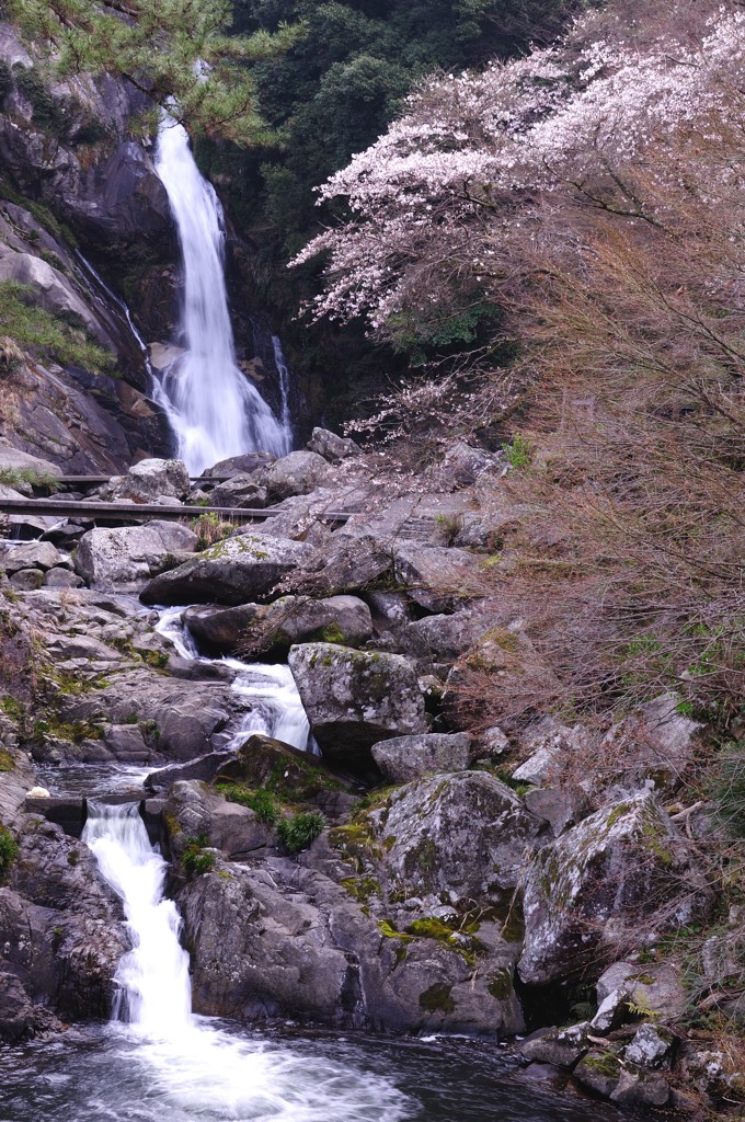 DSC_4763