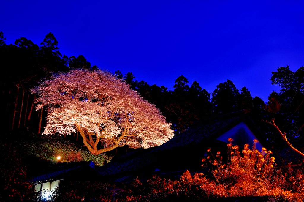 DSC_6978_01