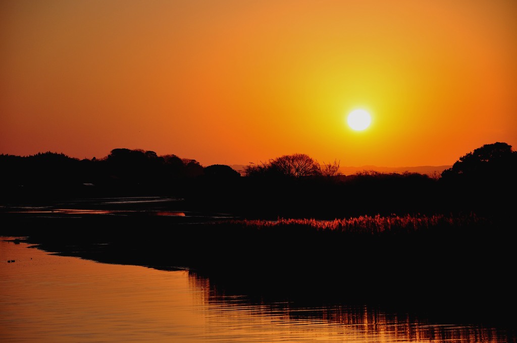 黄金色の夕日　＾＾
