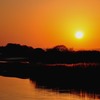 黄金色の夕日　＾＾