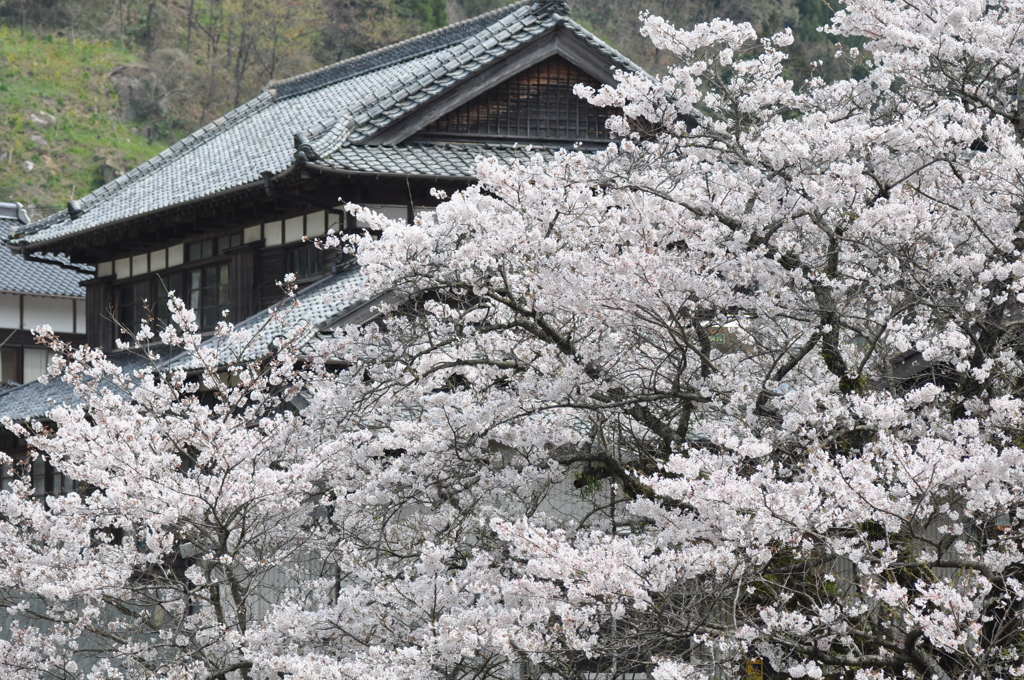 佐賀県七山探索