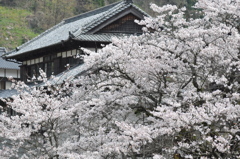 佐賀県七山探索