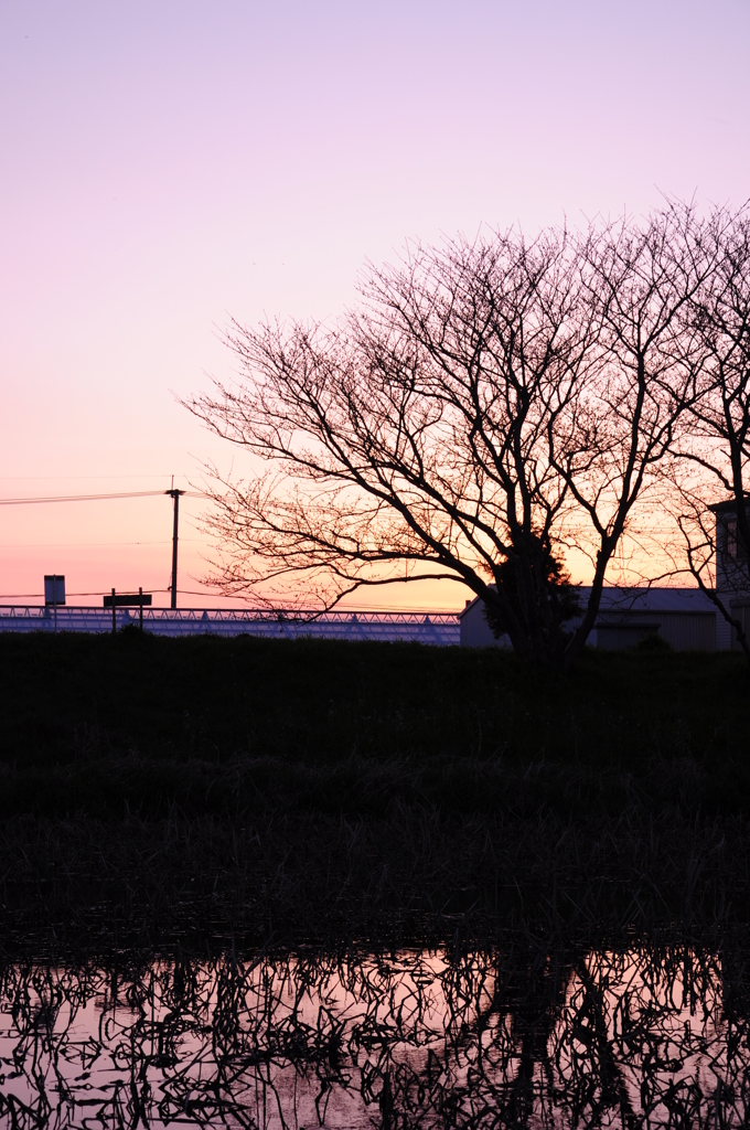 DSC_4720