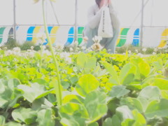 散歩の途中で一休み